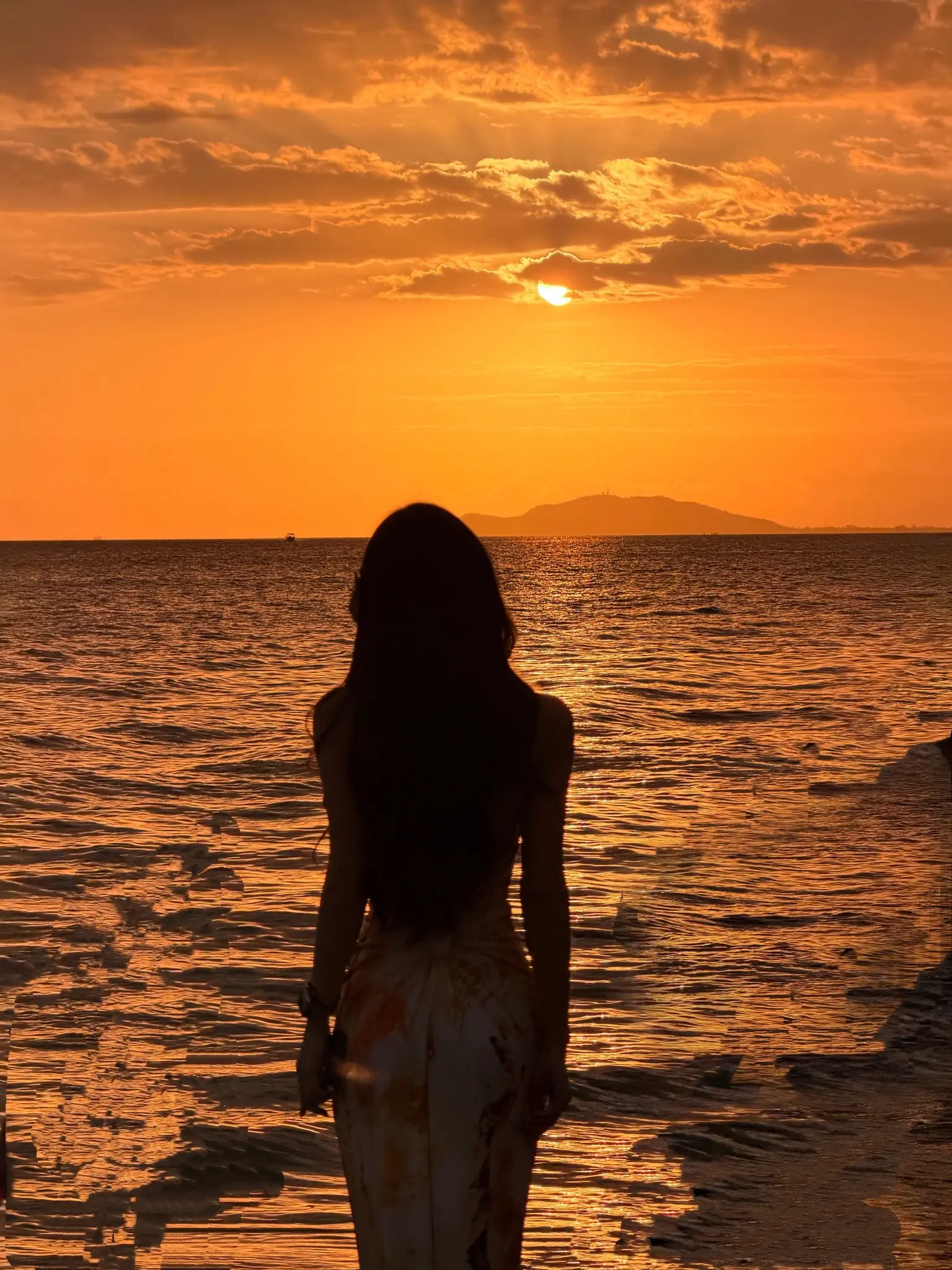 我说自由即永生