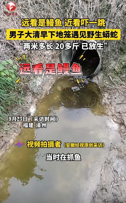 “解释不清了！”福建漳州，一男子去河边下地笼抓鱼，结果发现放置在排水管口的渔网中