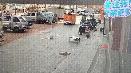 我就问问大家，这事儿到底谁负责。网友近日上传了这么一段视频：狗子小黄在街上睡觉