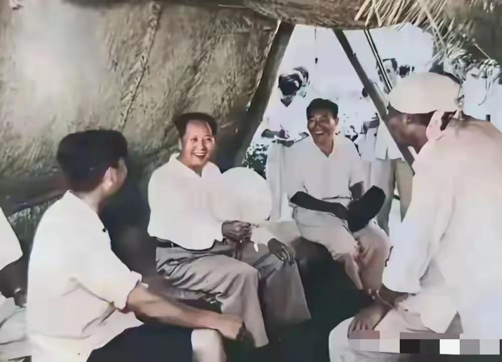 见过毛主席蹲田间草棚聊天的老照片，才懂什么叫真正没有架子现在不少人总觉得身