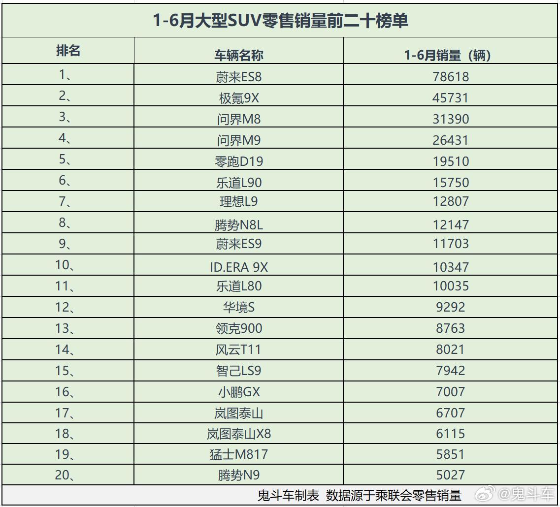 大型SUV卖得不火！1-6月销量榜仅一款销量过5万问界M8第三