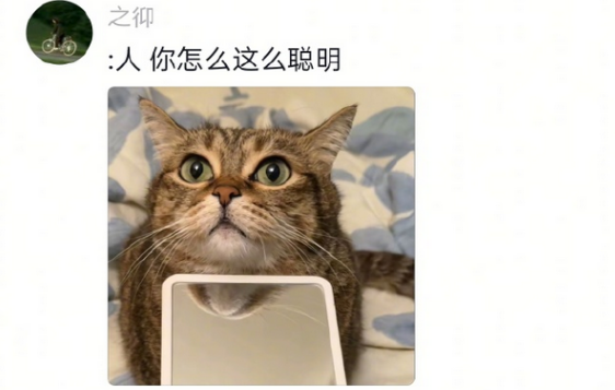 咪咪委屈，但，装的！！！