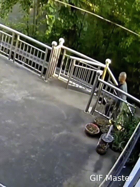 大爷是个狠人，跑到别人家把人家的狗直接打死了！这个大爷不知为什么，鬼鬼祟祟地跑到