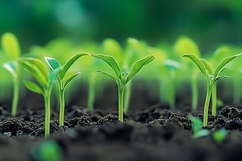 健康的源头是土壤说健康的源头是土壤并不夸张。土壤乃万物生长之根基