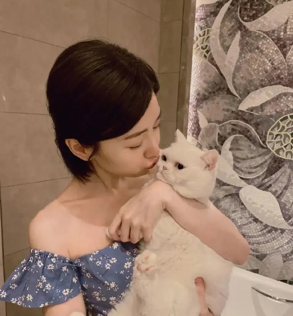 事实证明，不带帽子比戴帽子好看。