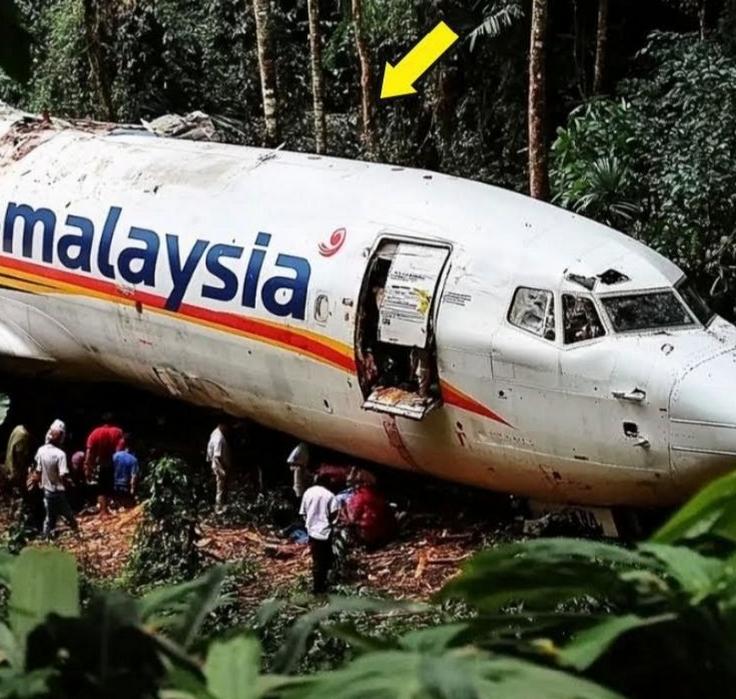 11年了，我们可能都被一个“谎”骗了。最新技术显示，MH370的最终位置可能