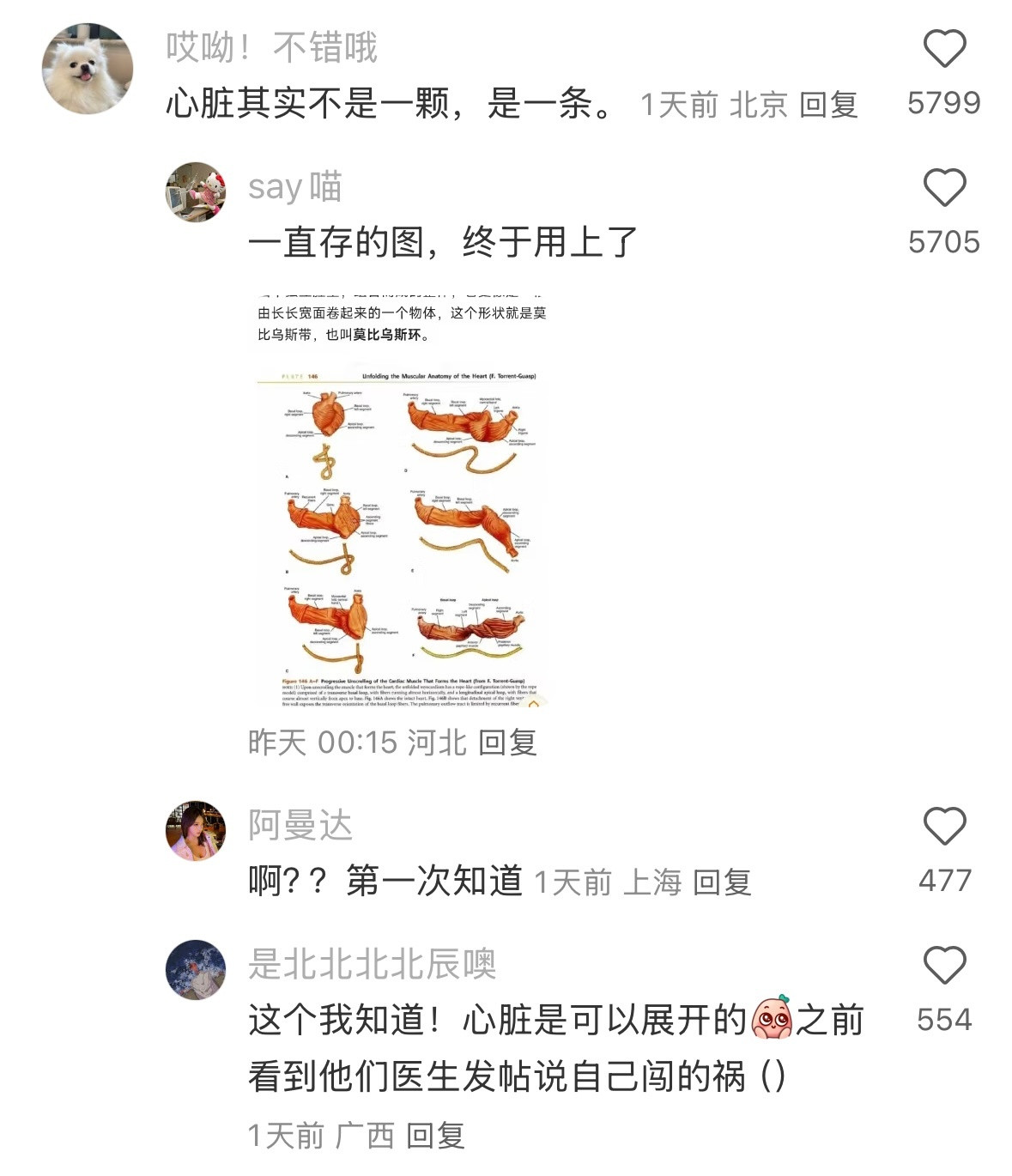 我去...原来信息茧房这么恐怖...​​​数亿人冲破信息茧房感觉不舒服​​​