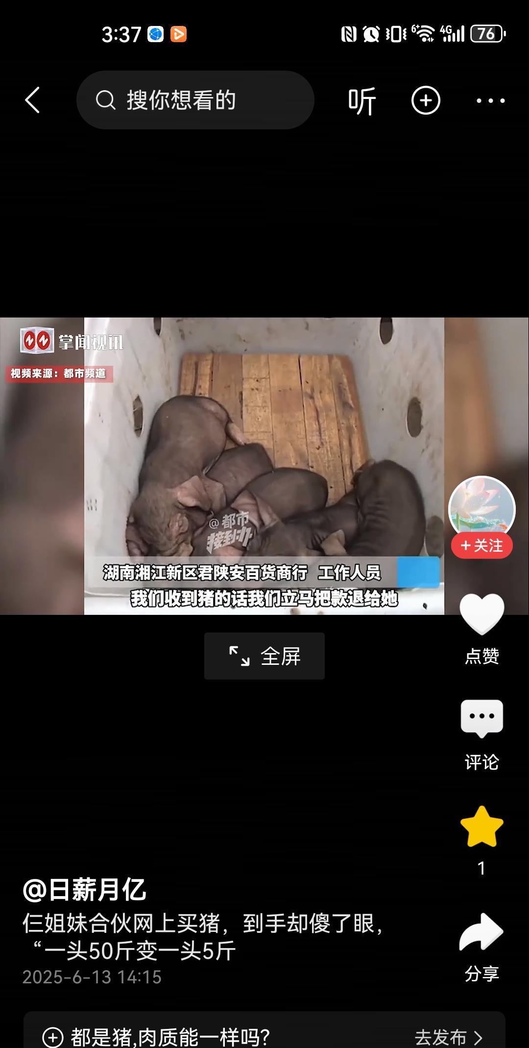 河南，一农村大姨见网上有人卖猪，500元一只，体重能达到50斤至55斤，大姨觉着