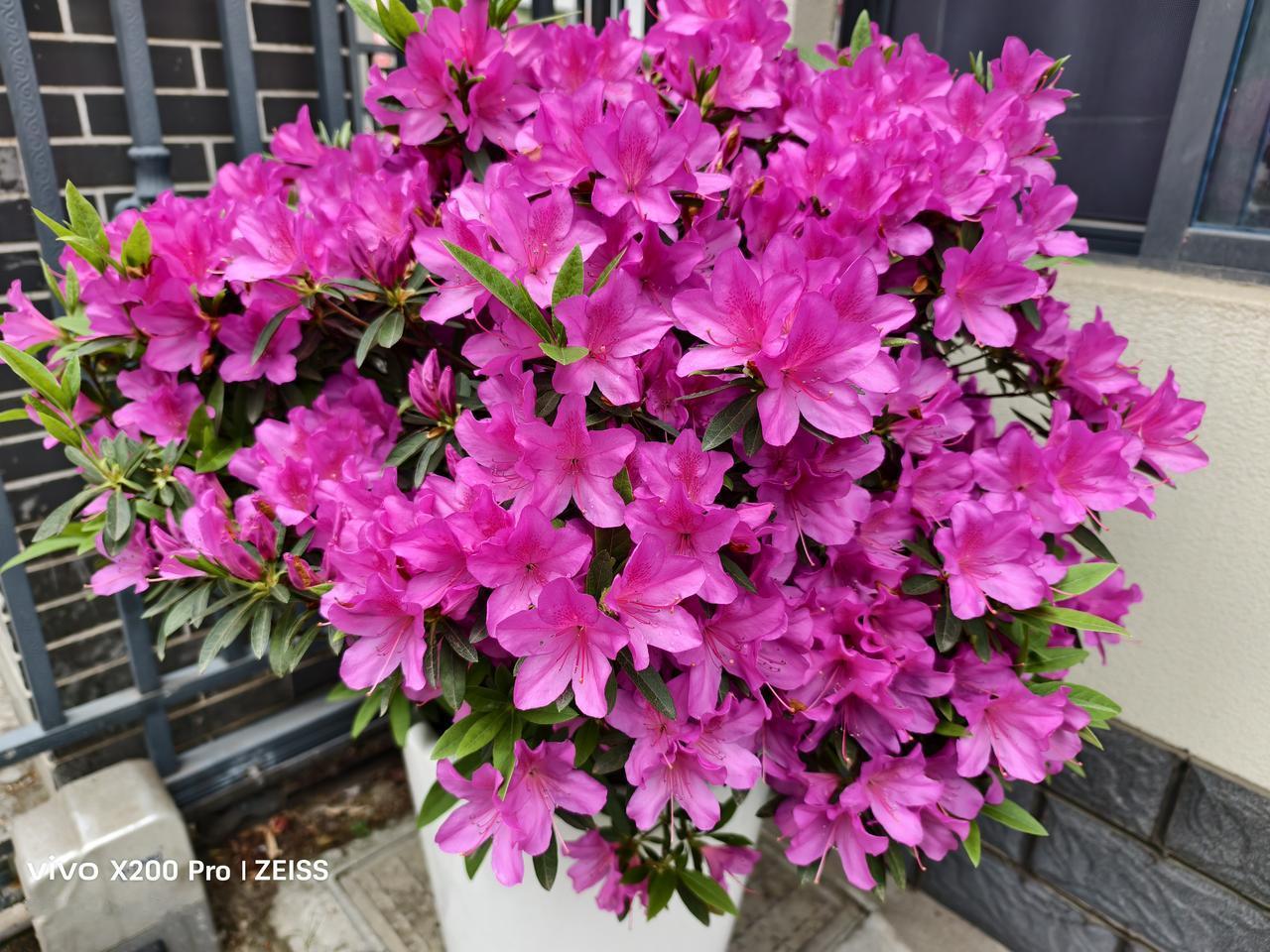 看住养老院姐姐所想昨天上午我去看了养老院的陈姐姐和哥哥。认识他们是