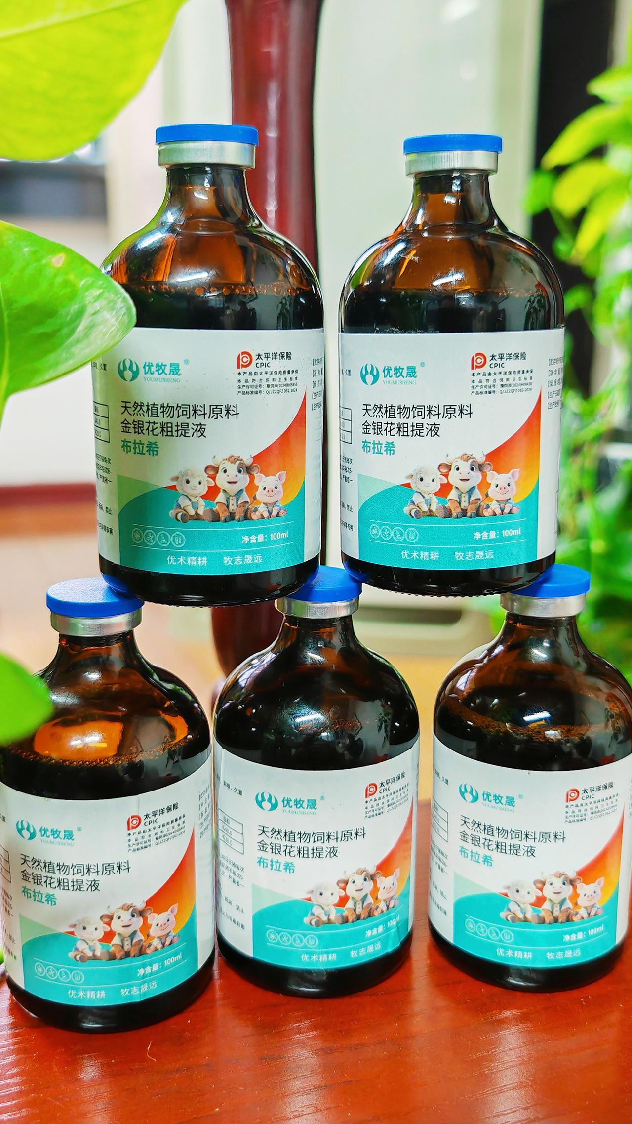 养羊人牛羊养殖养殖场专用农村养羊