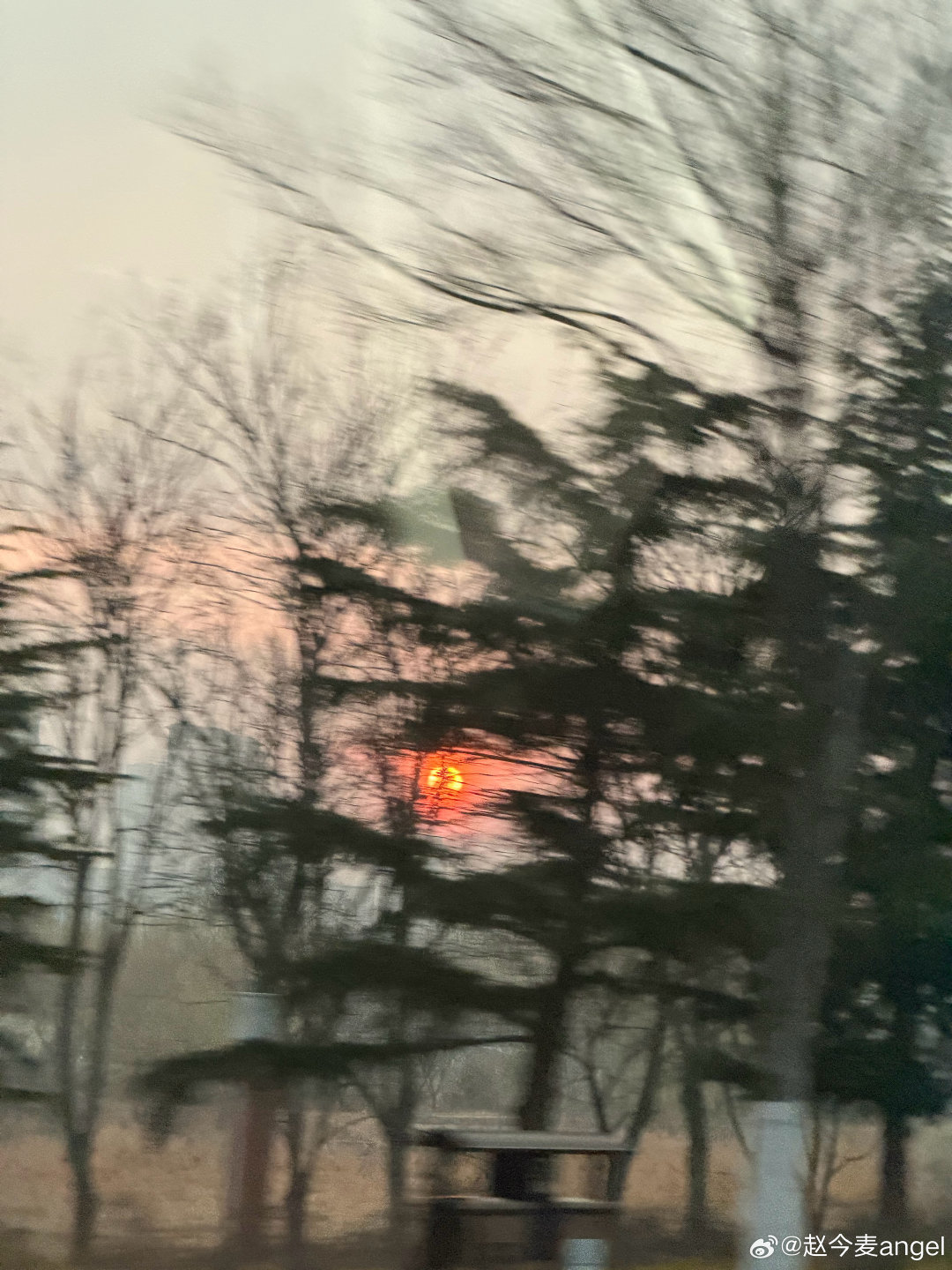 赵今麦抱拿铁合照啊啊啊啊可爱鼠了狠狠羡慕拿铁了赵今麦抱我可不可以（bushi