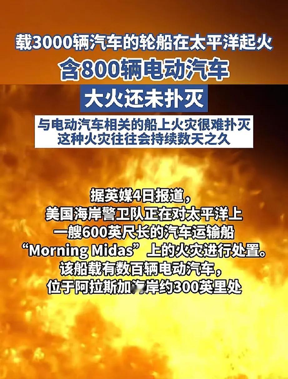 800辆电动车烧红太平洋！据说车都是国内某电动车巨头的，一下子800辆被烧，保