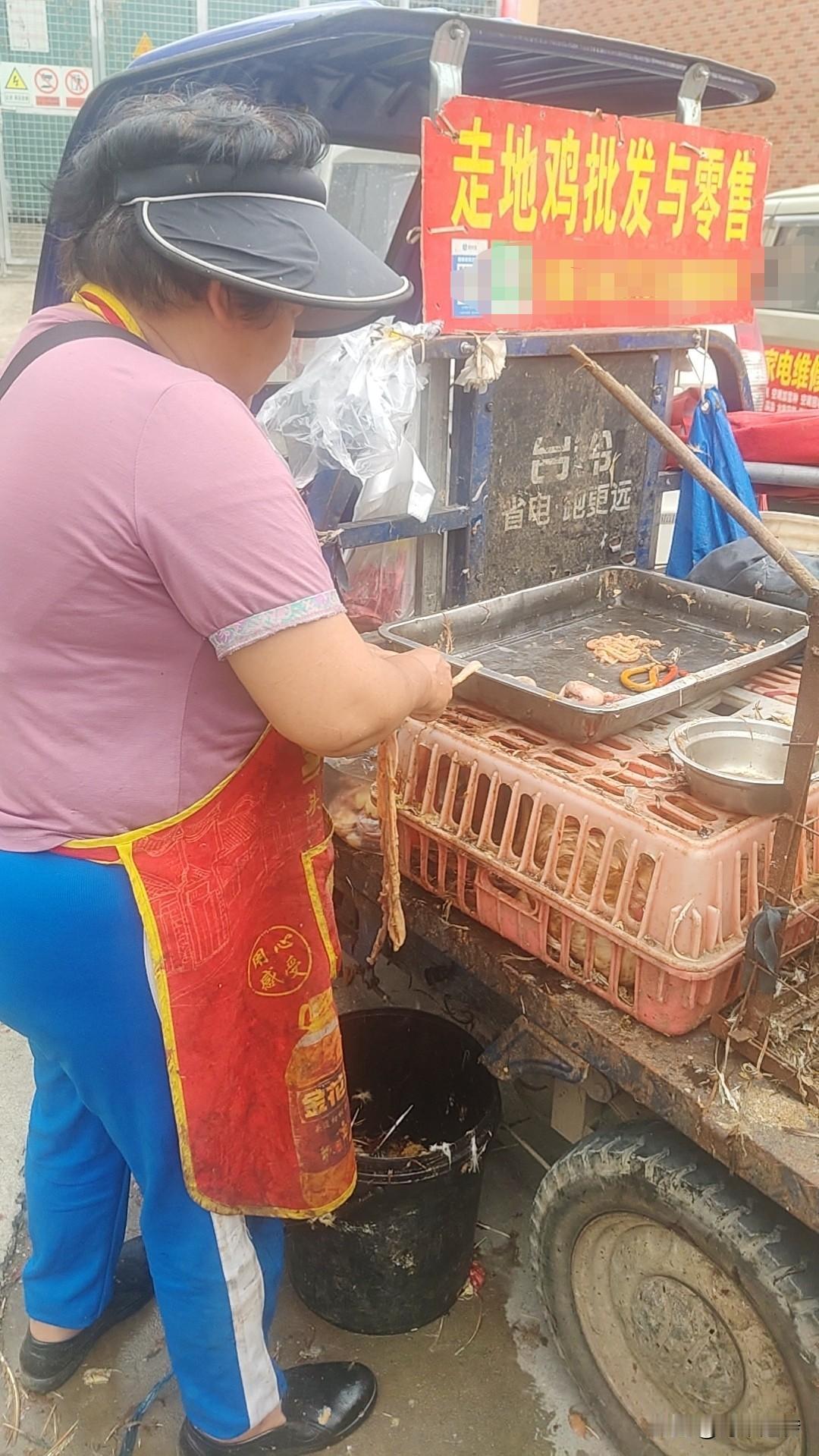 四月十二号星期天休息的时候，在菜市场看到有卖土鸡的流动摊点。询价要16块钱一斤