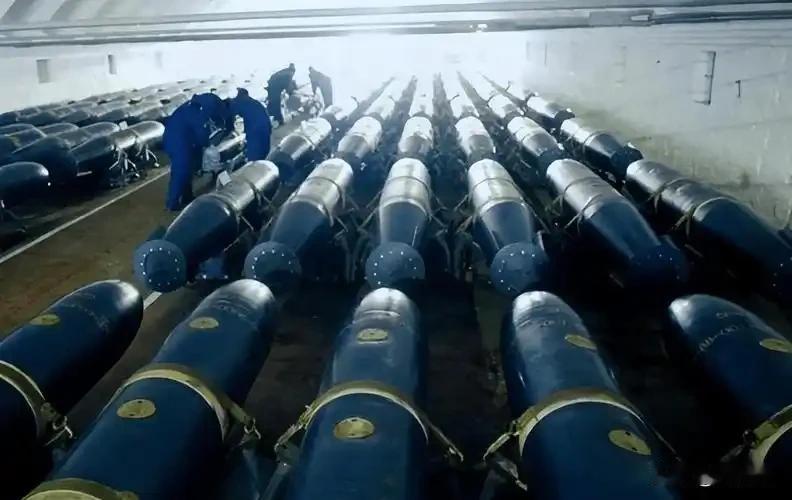 设计与技术采用533毫米标准口径，雷体总长1.87米，全重495千克，整体采用