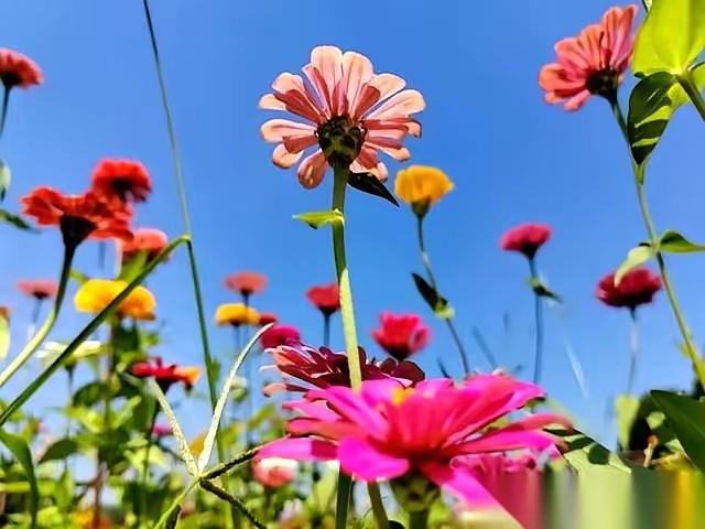 药为什么能治病一种药对治胃病特别有效，但对治心脏病却毫无疗效，为什么？而另一种