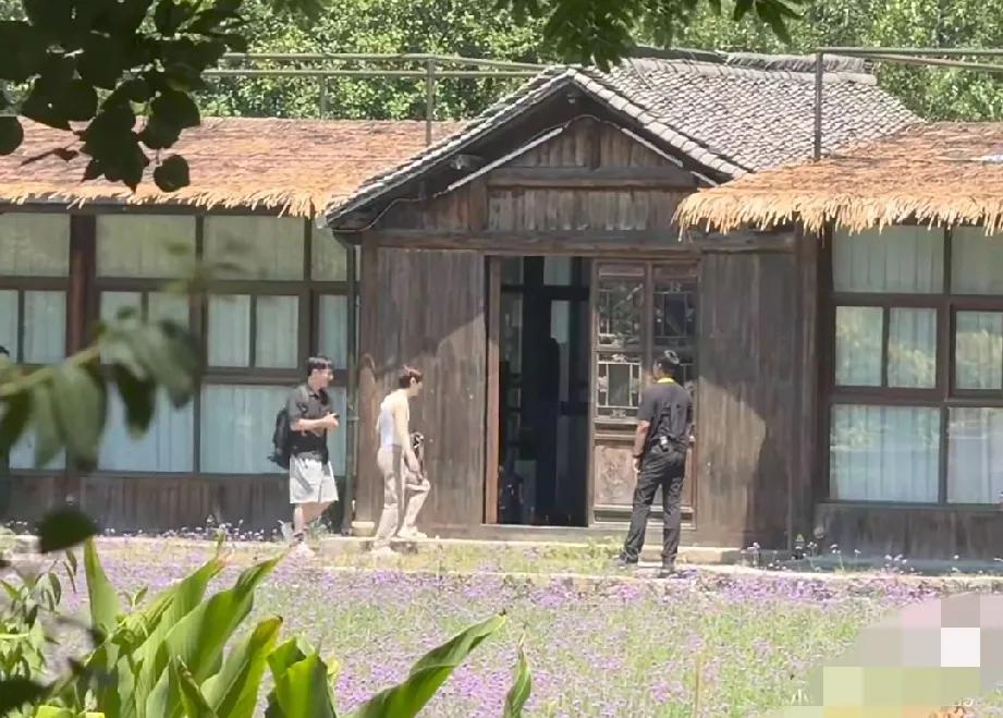 《向往的生活》第8季路透来了，何炅彭昱畅携新蘑菇屋亮相，内部装修曝光，路透