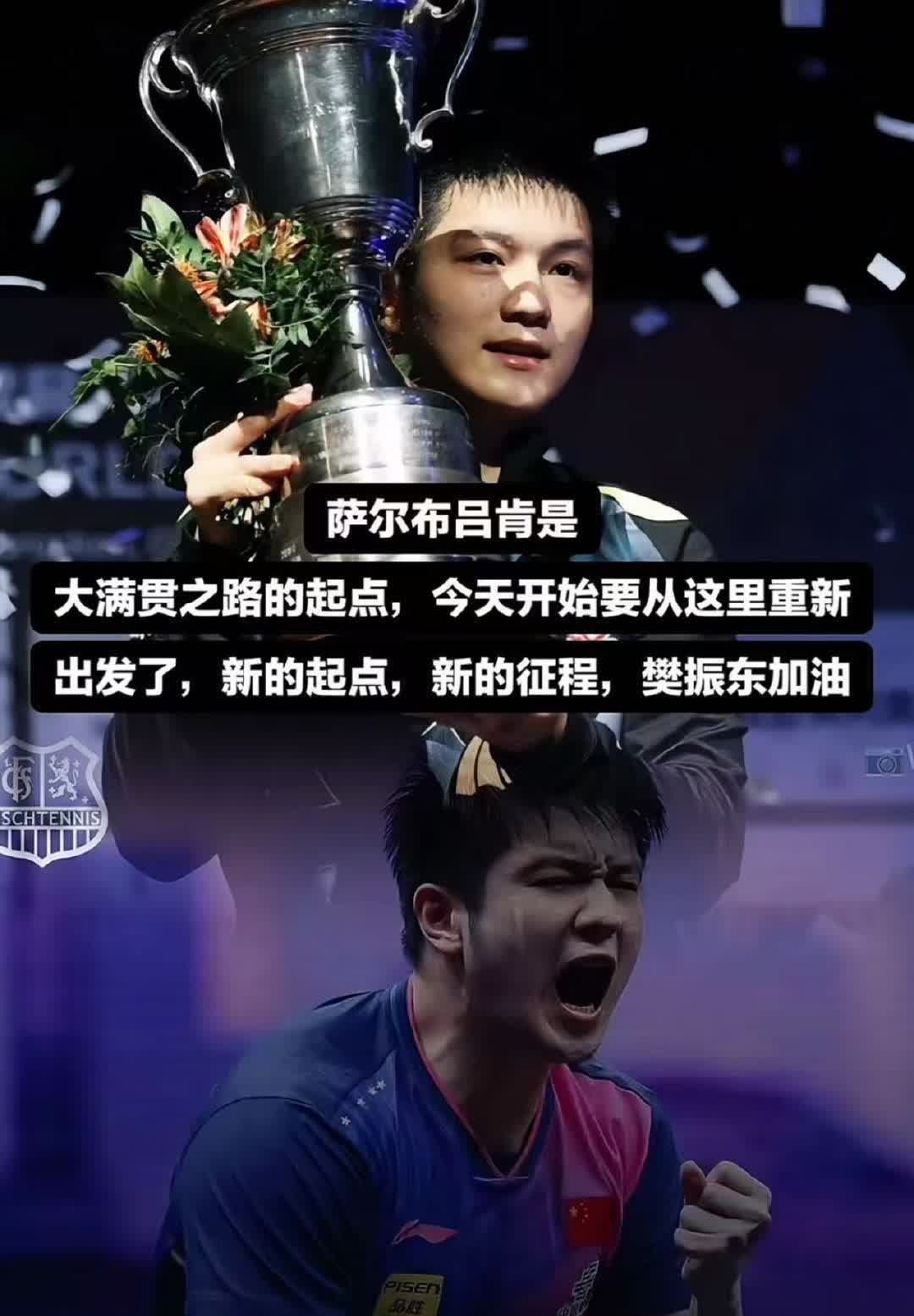 樊振东转投德甲，我认为：三点致使WTT颜面扫地。制度上，德甲给球员自由，接代言、
