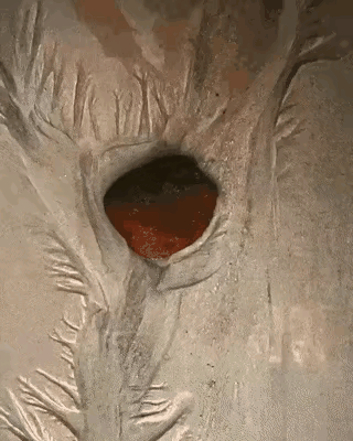 发一张图片，让我猜出你在哪里拍的