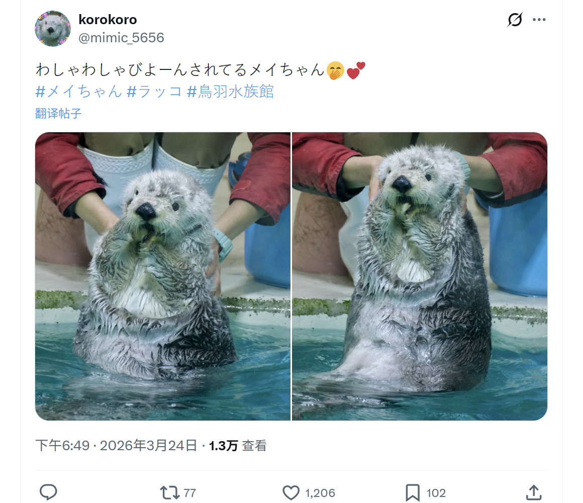 海獭哈哈哈哈哈饲养员你这样暴露美女的皮下脂肪厚度真的合适吗！