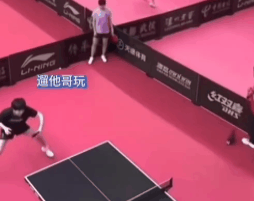 要么头哥说，以前练混双真快乐呢，就喜欢看莎莎溜他哥，他哥被溜了，还舍不得真