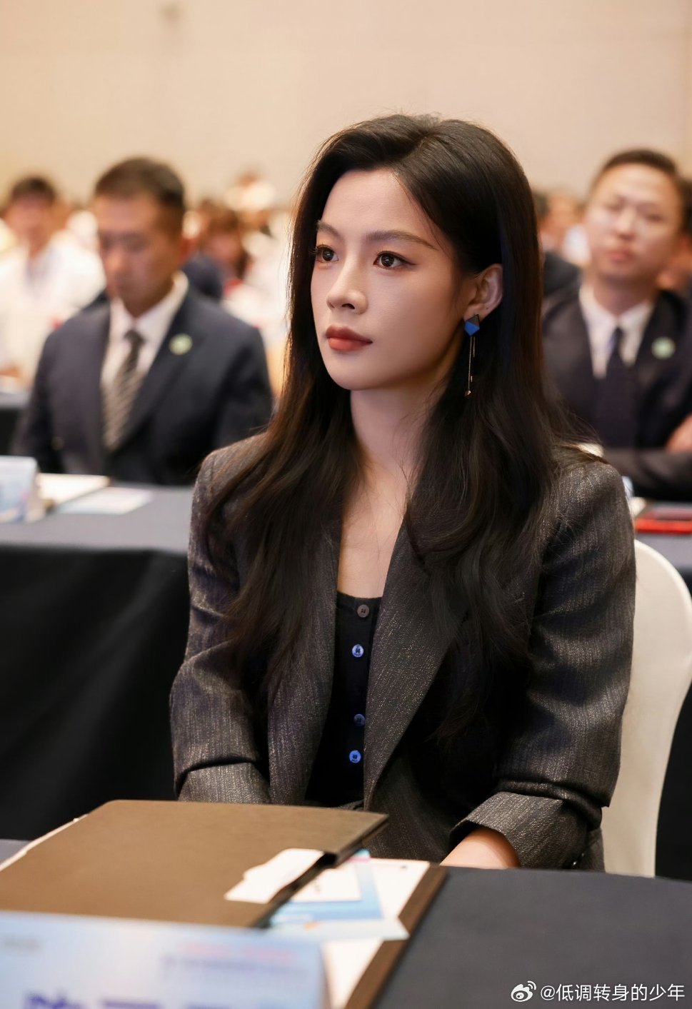 陈丽君我的大观园台湾演出一票难求陈丽君参加的是海峡两岸青年发展论坛，已经是第二