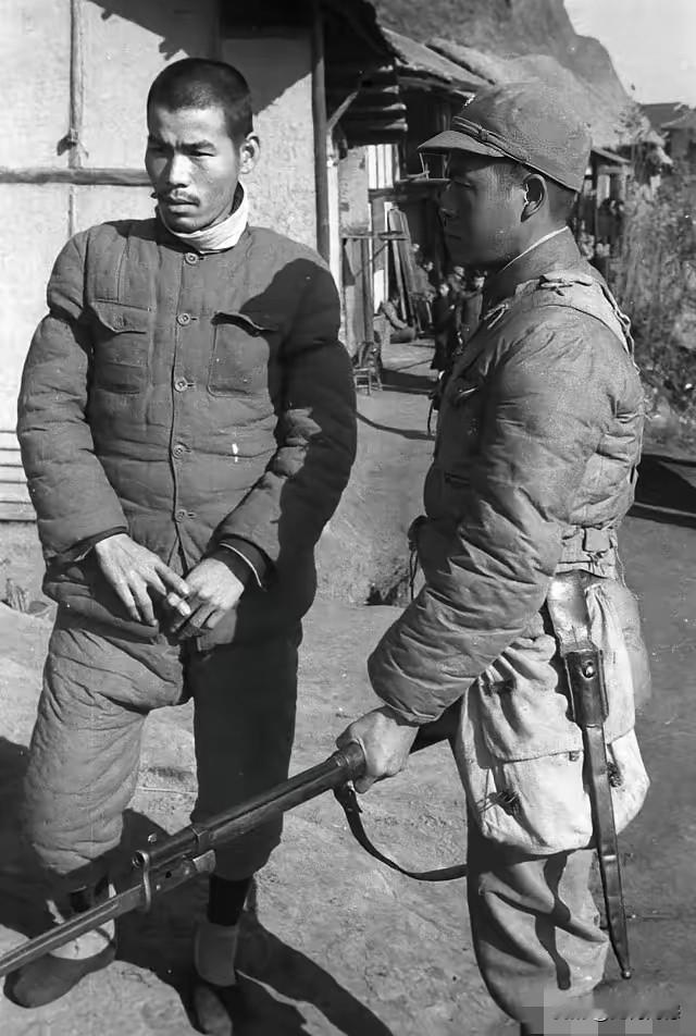 看看日本鬼子的眼神，被俘之后，所表现出的状态也是非常骄横的，这是它们长期以来所形