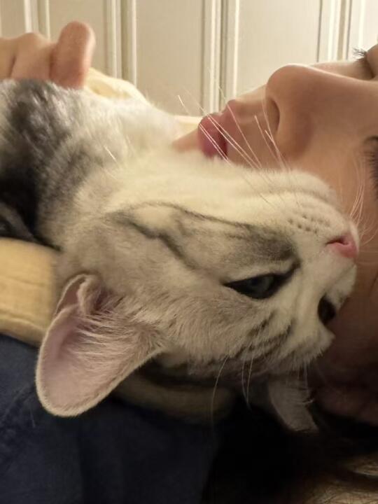 漂亮的女友和粘人的小猫
