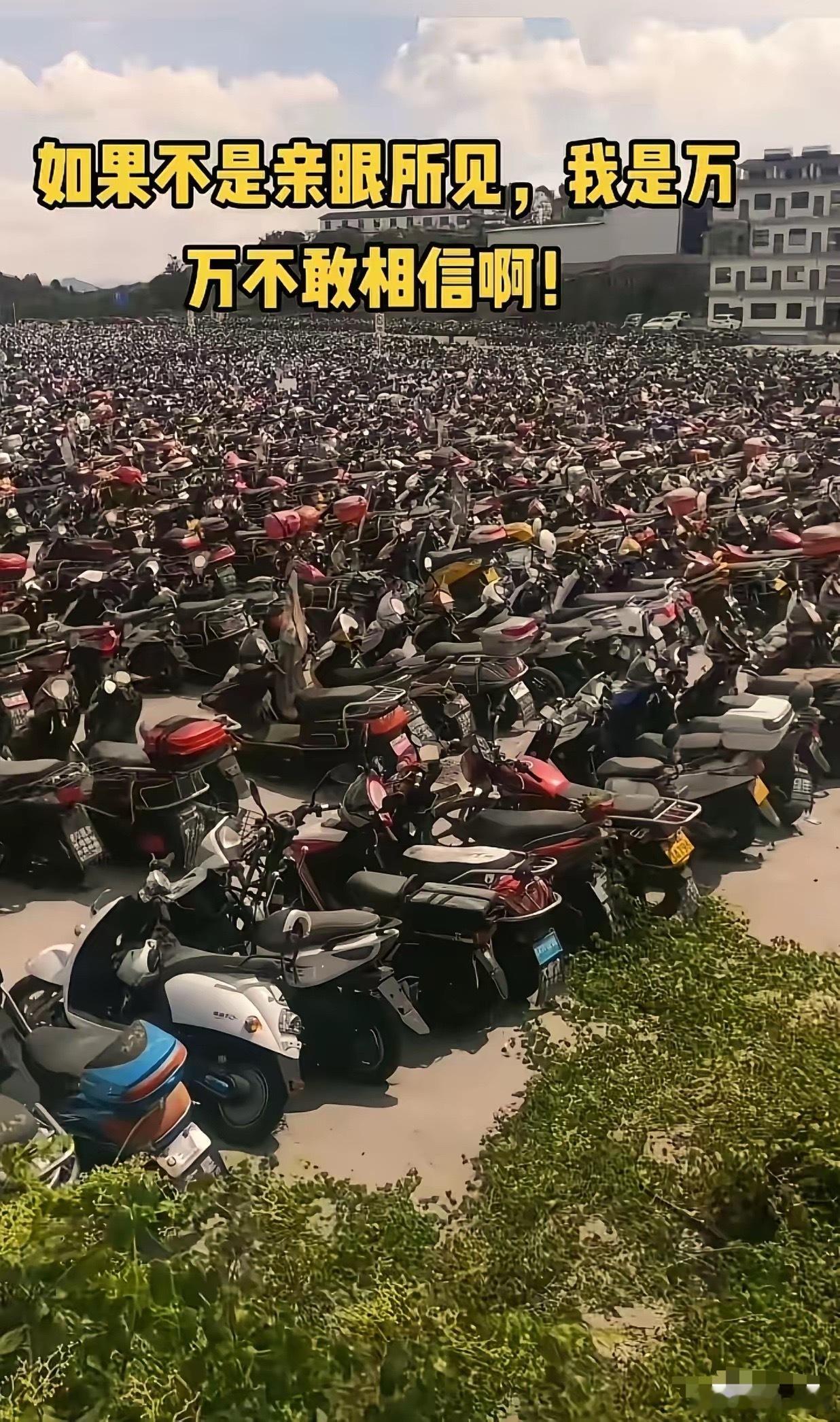 我就说纳闷了，怎么扣了那么多的电动车去了那里？原来是被利用了啊！两三百一台出价，