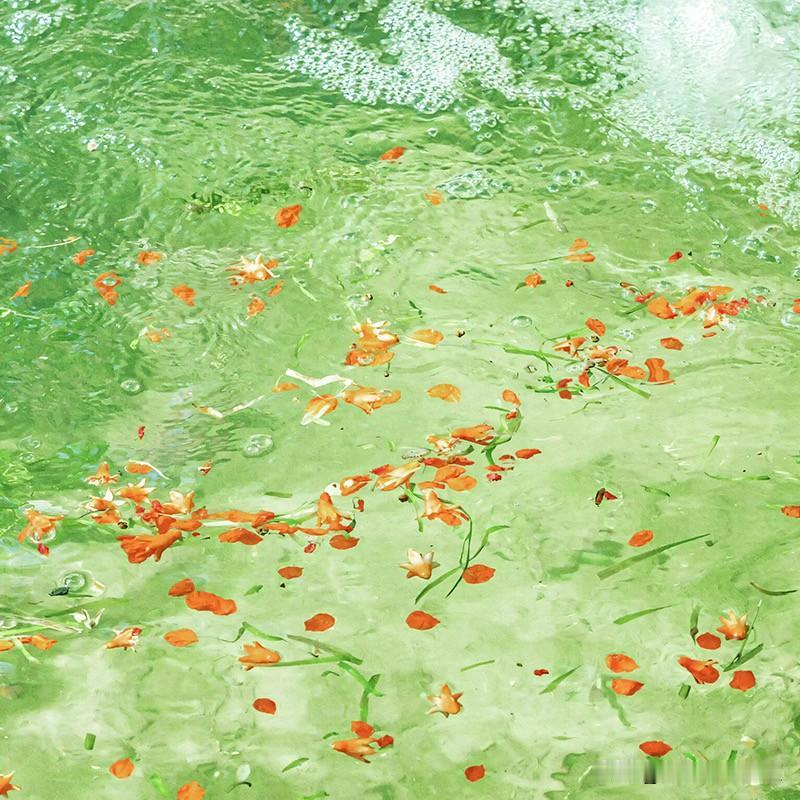 一句话看穿「12星座的爱情伪装」：白羊：假装无所谓，其实超在意金牛：假装