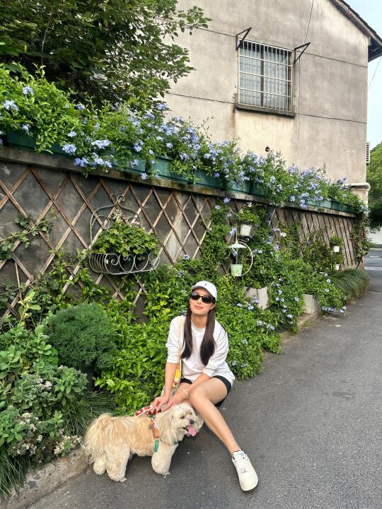 好像养狗狗也是不错的选择🐕