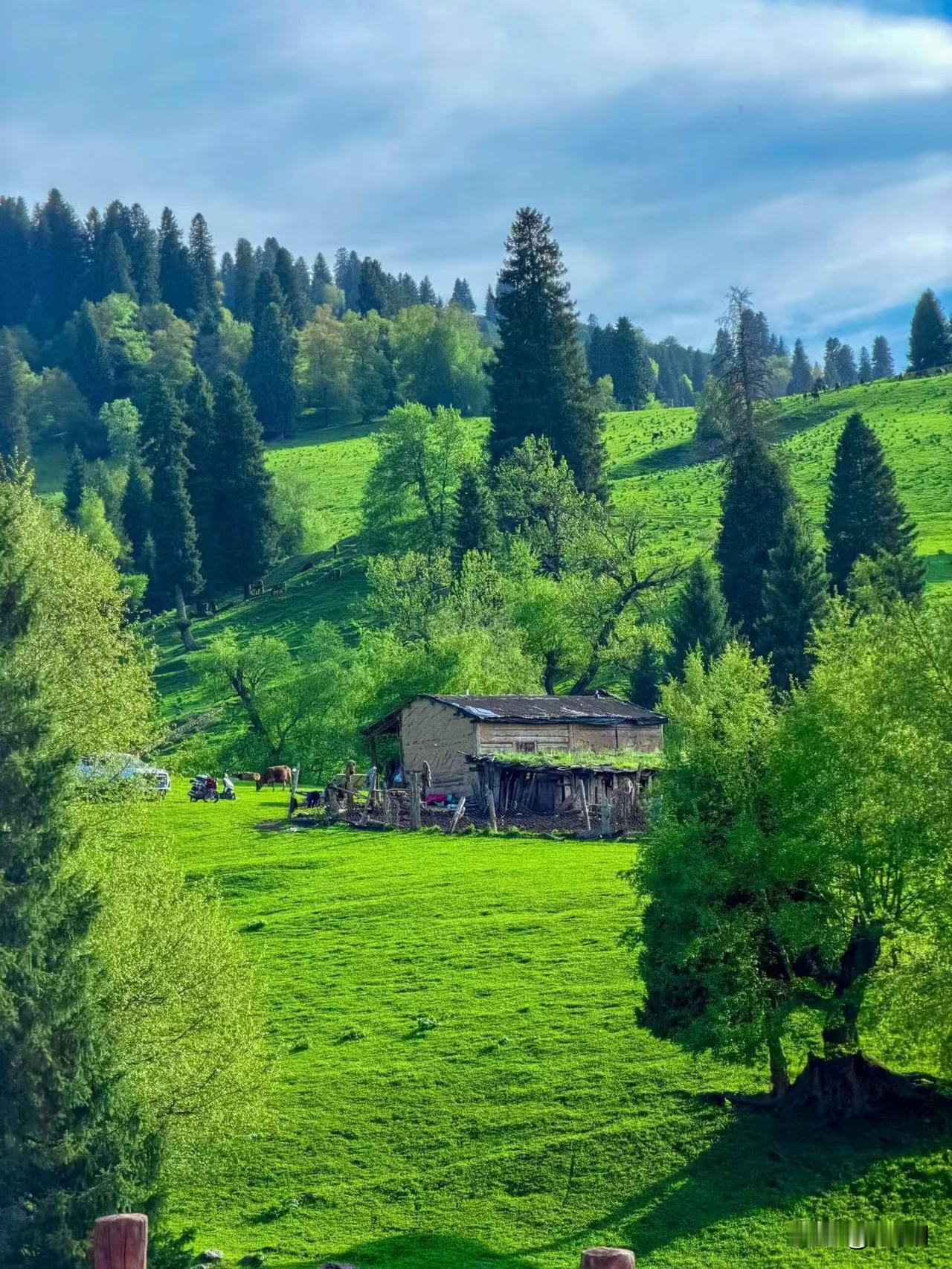 你有被新疆的美景震撼到过吗看到这样的风景，什么新西兰瑞士你还觉得美吗