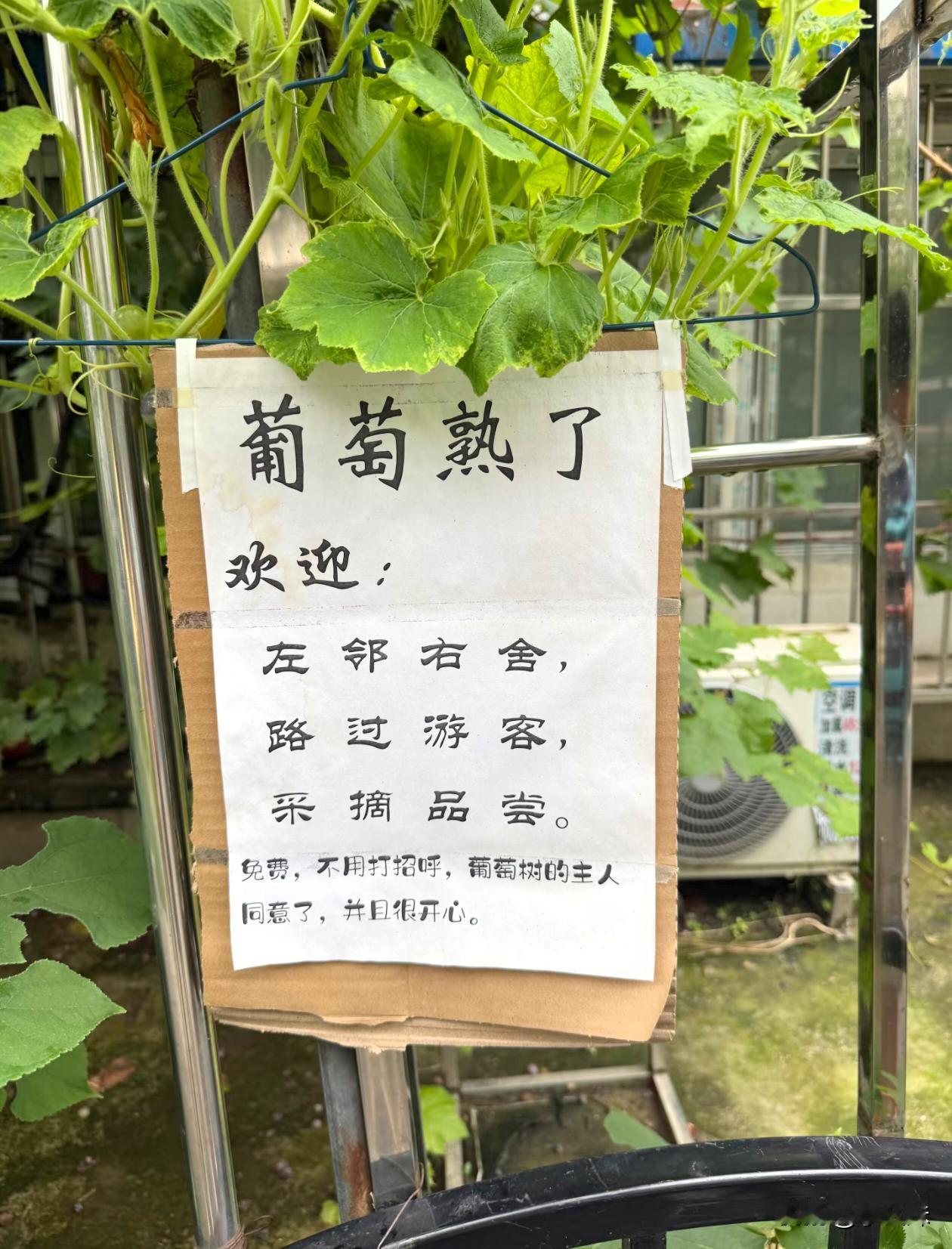 主人吃了一口好难吃，并决定分享给大家