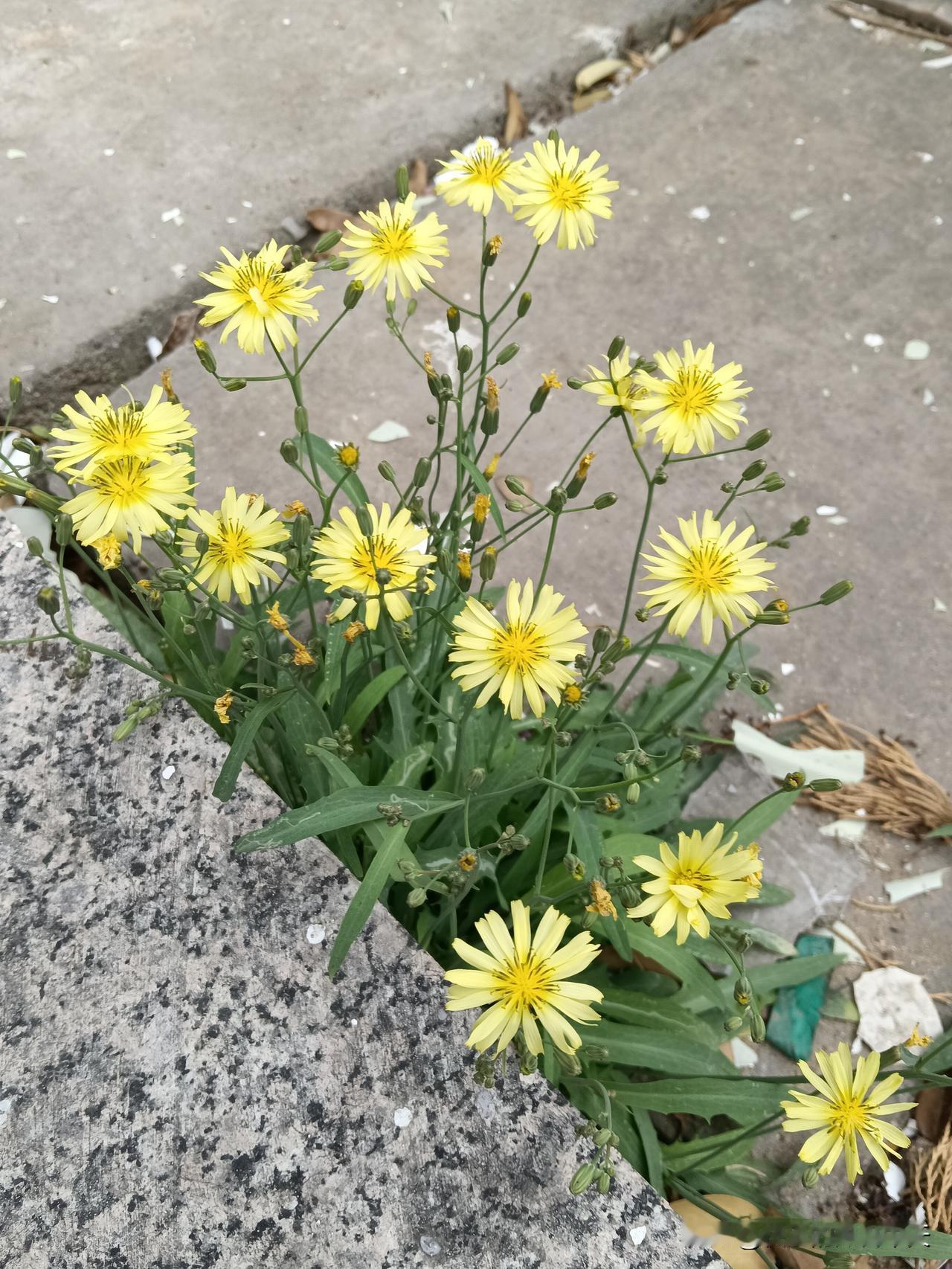 十二生肖存钱的真相~1.属虎：兜里永远留不住💰2.属牛：工资到手就分文不