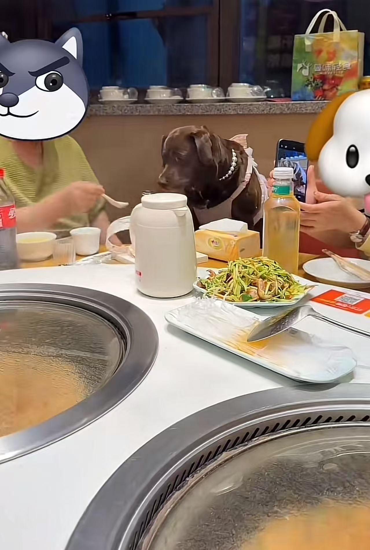 离谱！4月28日报道，天津，天津一名养狗人士在饭店给狗狗过生日，竟直接用店里的餐