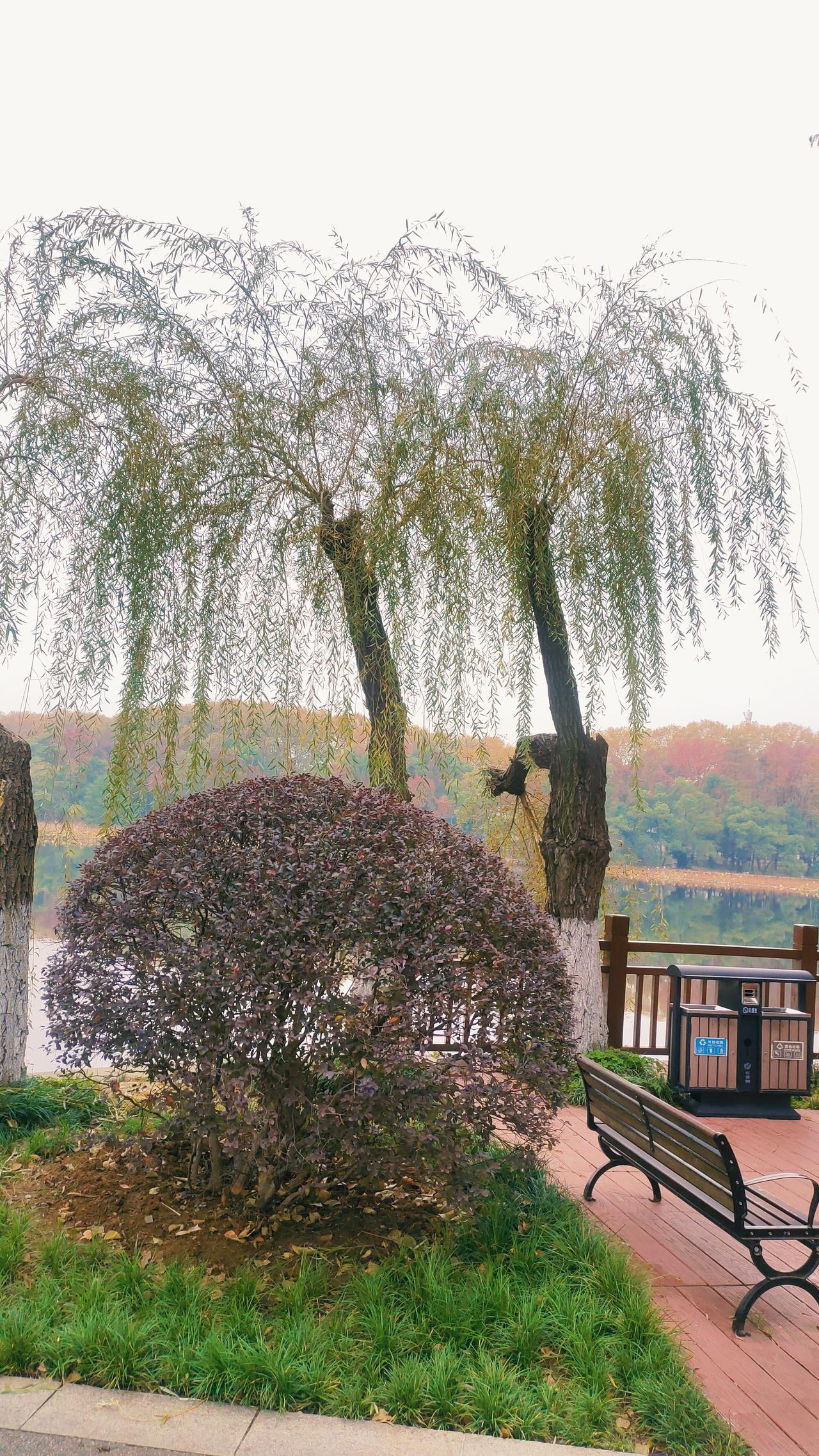 一个家庭旺不旺，生了宝宝就知道，真的很有道理。有的家庭孩子不结婚，门