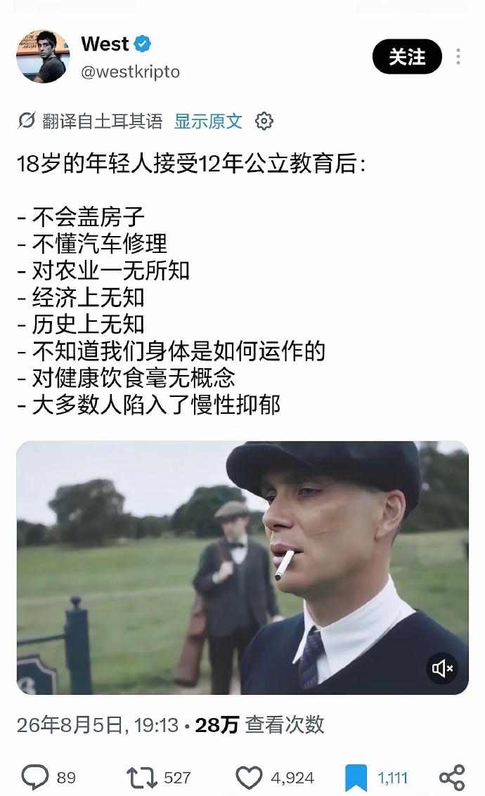 外网扎心发问：读了12年书，年轻人为啥不懂生活？这个土耳其网友的吐槽，在