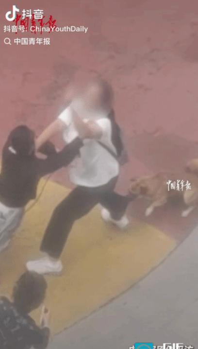 辽宁沈阳，女子在小区遛两条狗不牵绳，一名过路的女子好心提醒她，不料狗主人瞬间上火
