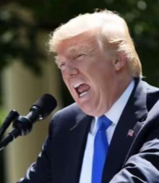全球的人都该给特朗普道声谢，不是因为他有多大的本事，而是因为他让大伙儿一眼看穿了