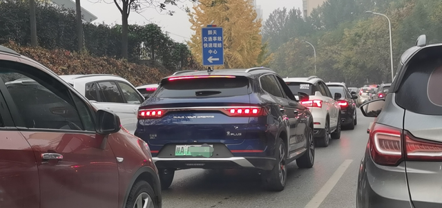 蓝色的越来越多了是什么样的缘分，早高峰，我俩并排走的时候估计后面车都蒙了，颜色