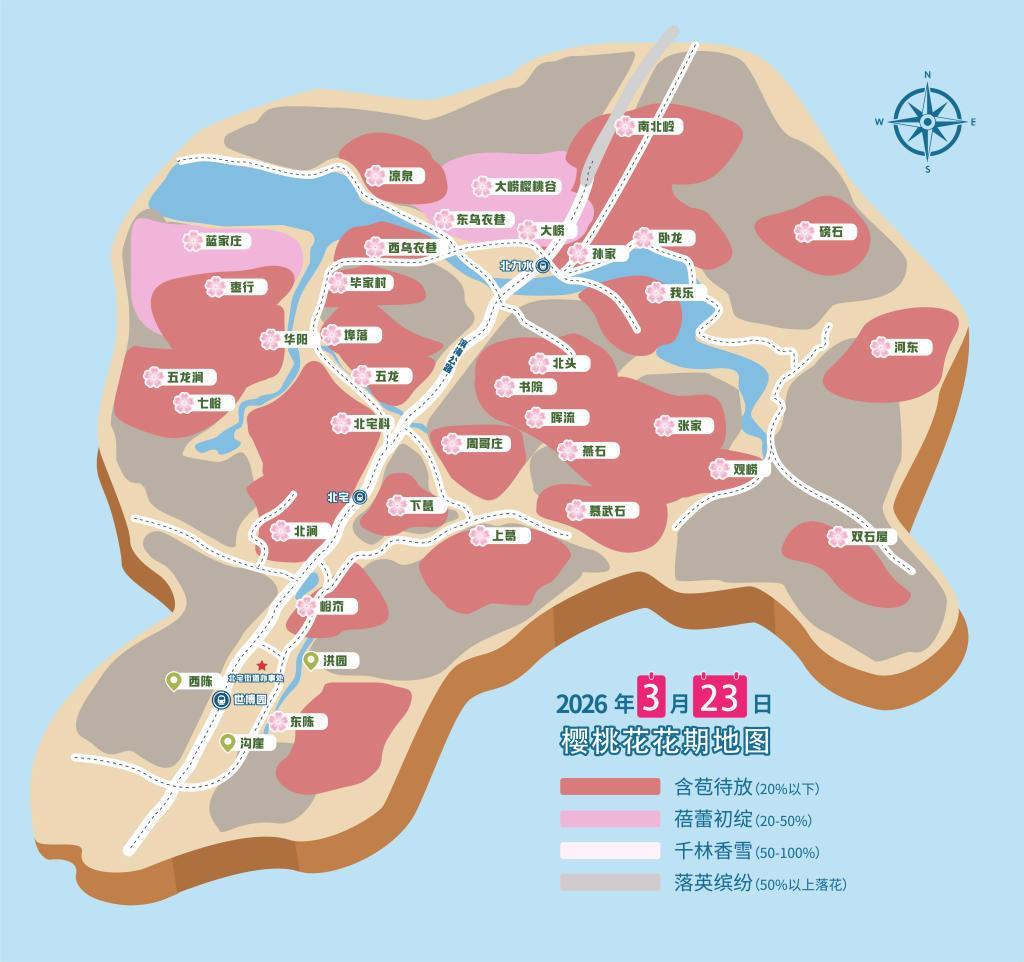 崂山樱桃花海全城沦陷！北宅王哥庄绝美打卡路线曝光，错过再等一年！春风一夜间吹