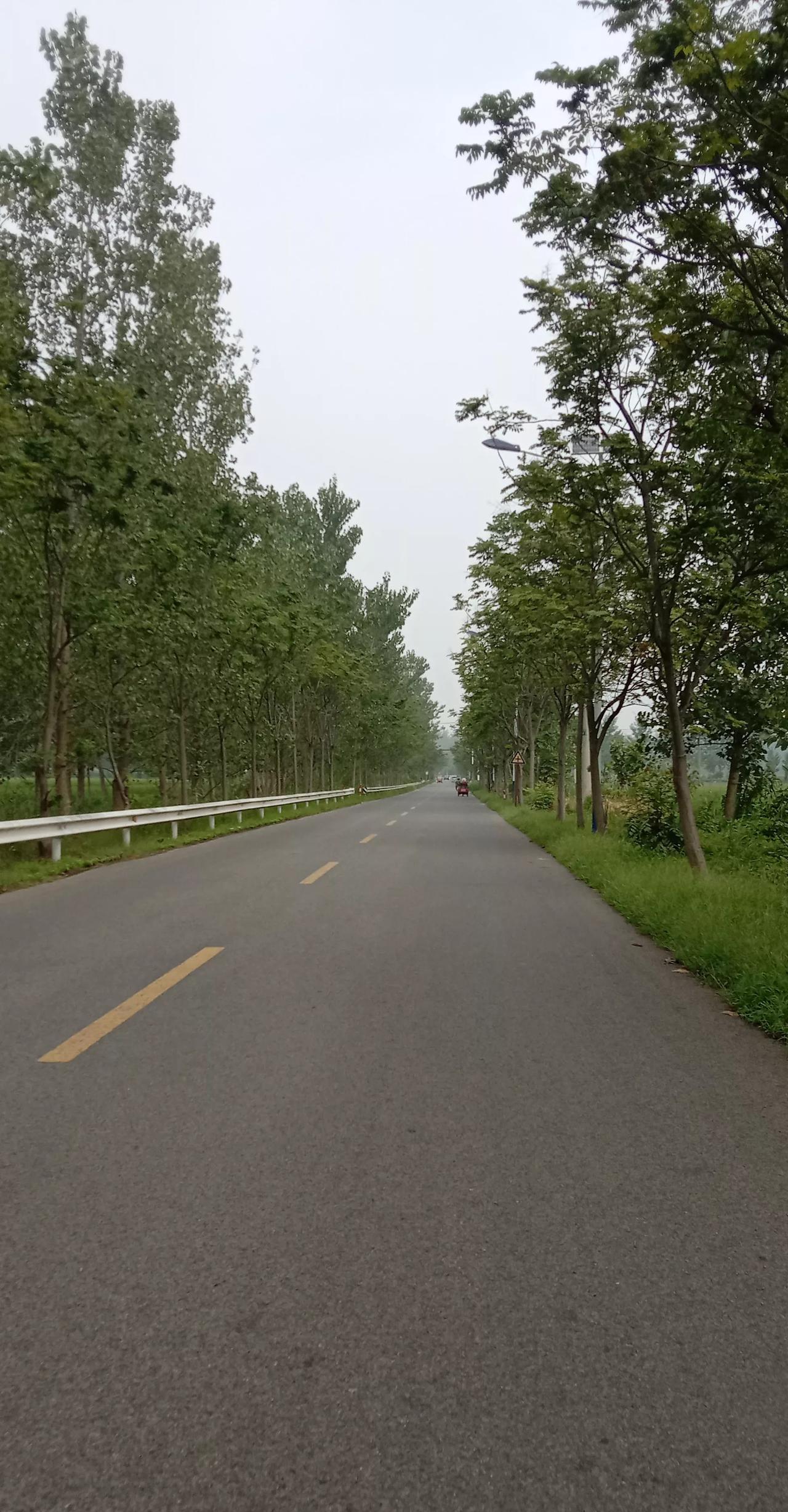 刚从镇为民服务大厅出来，把发展党员需要盖章的材料留给了组织。今天是我第5次来这