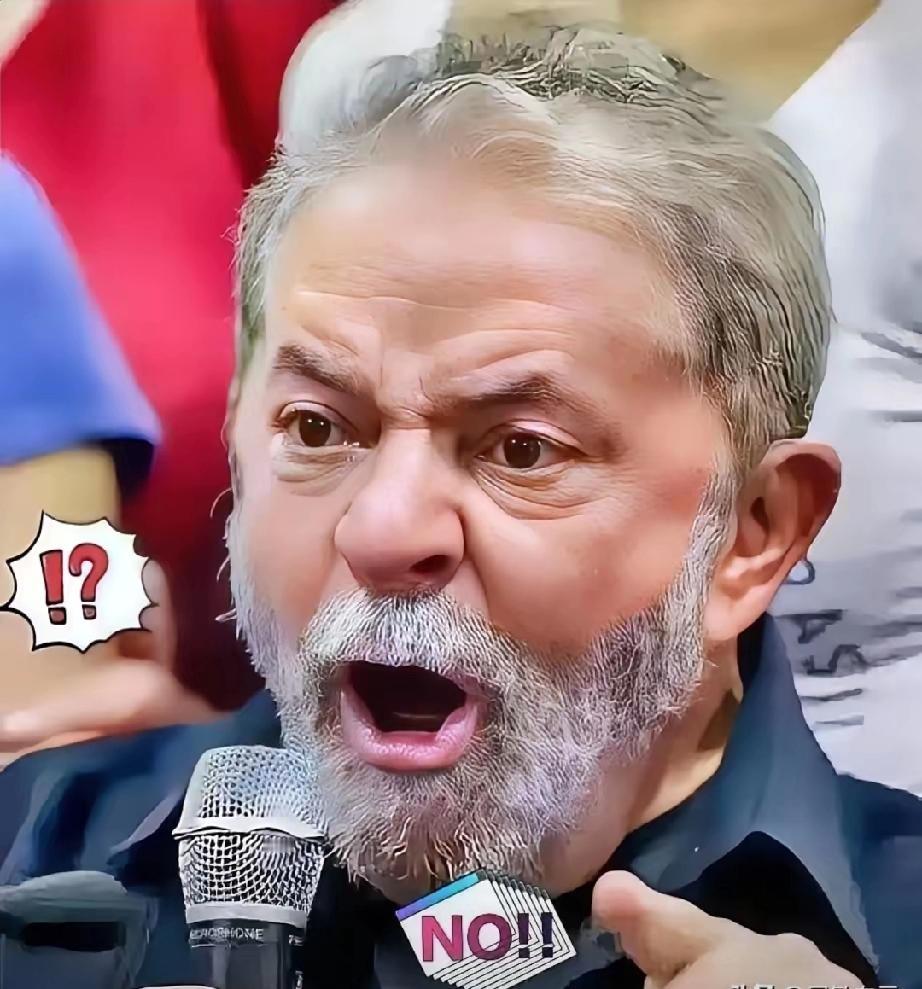 快报!巴西对华消息!2025年12月5日，巴西外贸委员会宣布对华车载扬声器