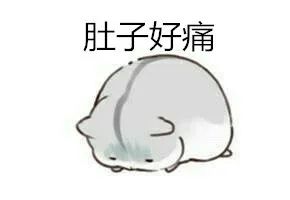 益生菌怎么选? 别再盲目交智商税
