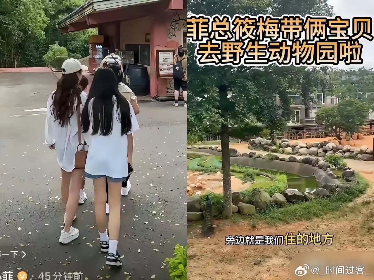 汪小菲果真是说到做到，​就在今天，小梅与小汪一起，带着小霖霖和小玥儿前往动物园了