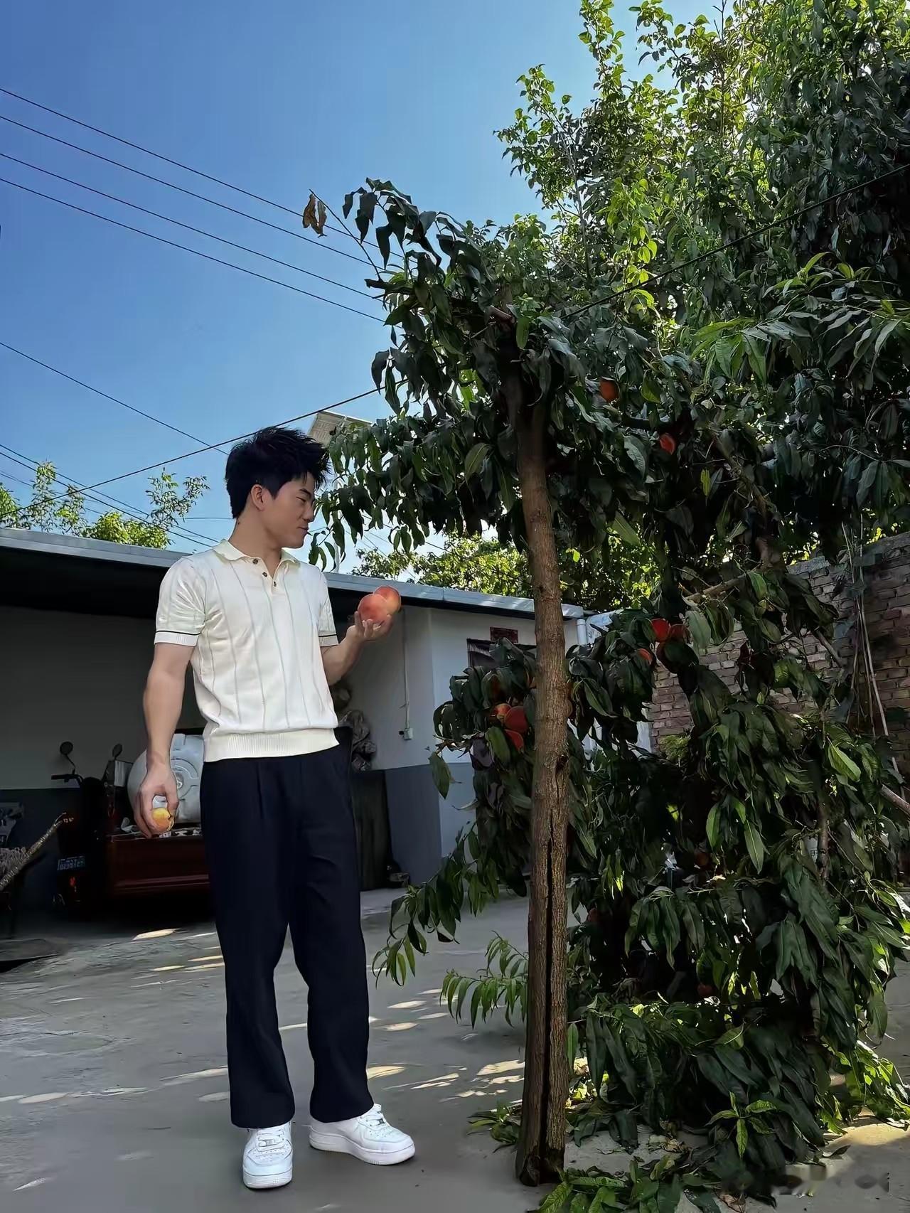 以前觉得“梦想照进现实”是鸡汤，现在看宇辉晒桃子，才懂那是顶级凡尔赛的免责声