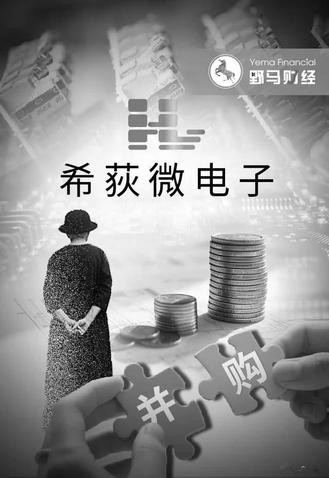 77岁佛山女富豪逝世, 麾下希荻微正斥资3亿并购芯片公司