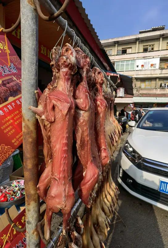 国内深圳也有类似情况，2020年5月就施行规定，猫狗不在可食用动物范围，禁止个人