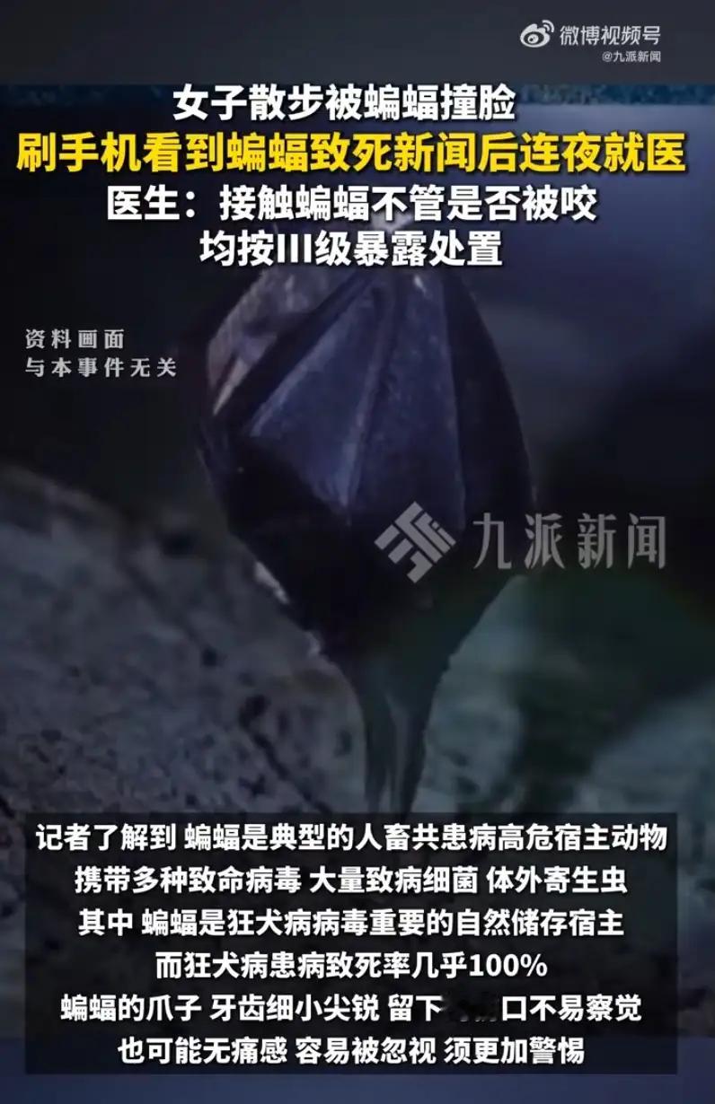 有点被吓到了。小时候抓过蝙蝠，玩过蝙蝠，最喜欢做的事就是两只手捏着蝙蝠的翅膀，把它拉的长长的。家里的