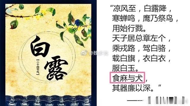 从周易命理学讲过了白露（公历9月8日左右），正式踏入农历八月即黄历（万年历）酉月