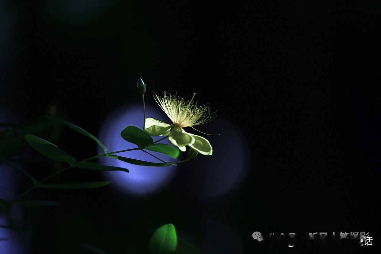 品德与能力来说,什么更为重要?康熙皇帝问群臣，现在有一个郡守的职位，有两个二